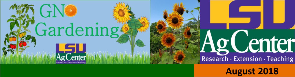 GNO Gardening Newsletter - August 2018